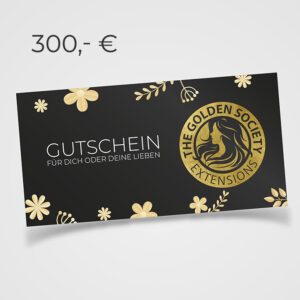 Gutschein 300&euro;